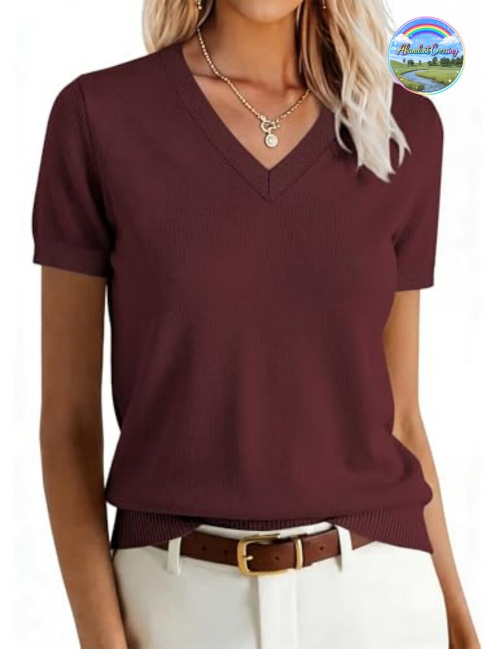 Womens Short Sleeve Wool Blend Sweater V-Neck Business Casual Pullover
